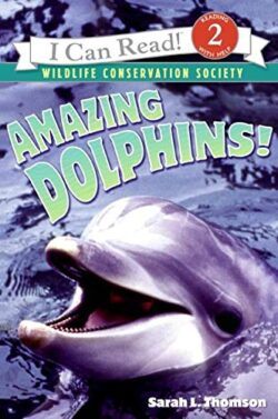 AMAZING DOLPHINS]