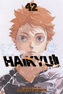Haikyu!!, Vol. 42 (Volume 42)