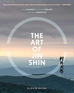 ART OF JIN SHIN