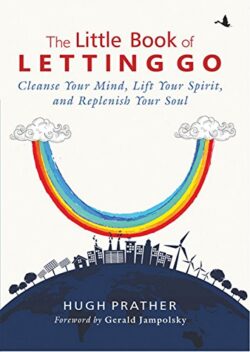 LITTLE BOOK OF LETTING GO