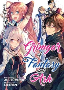 Grimgar of Fantasy and Ash Vol. 5