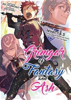 Grimgar of Fantasy and Ash Vol. 14