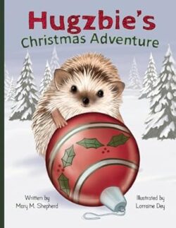 Hugzbie's Christmas Adventure