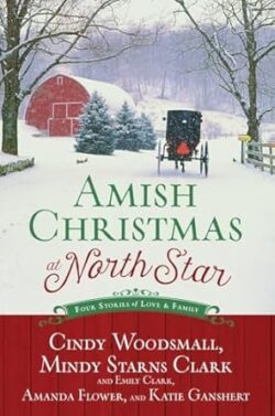 Amish Christmas At North Star
